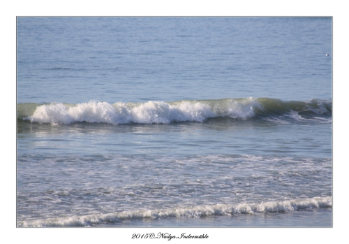 Fort Mahon Plage (80)