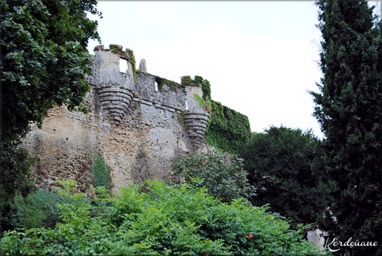 Photo des remparts de Montreuil-Bellay - Ville patrimoine