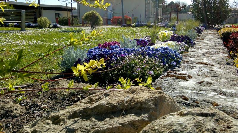 un lundi en couleur (Bleue-Blanc)