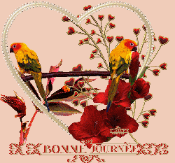 Scrap : les vendanges de Canelle