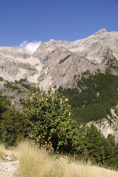 Le circuit du Pic et du Chamois