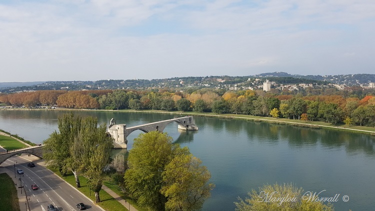 Avignon (84) : Le pont