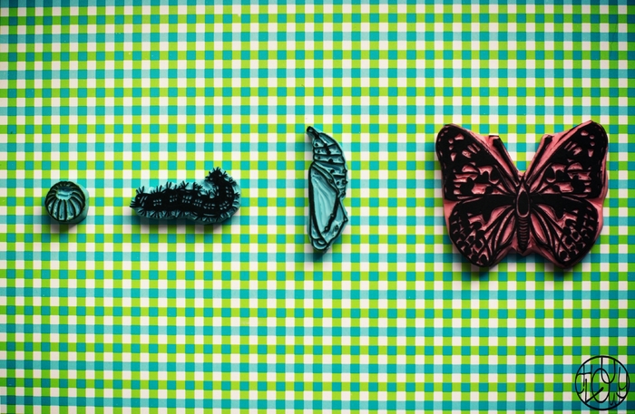 Défi gravure 3/12 - Le cycle du papillon en tampons 