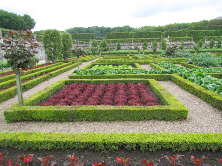 LE JARDIN POTAGER DE VILLANDRY . INDRE ET LOIRE . 2 ème Partie .