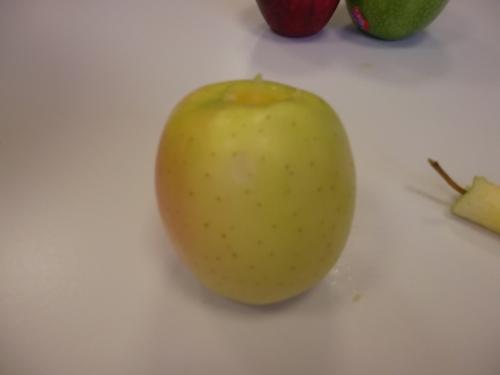 A la découverte de la POMME