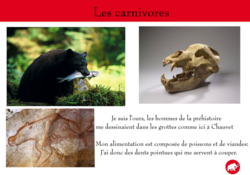 Médiation archéologique au Musée de la Préhistoire d'Île-de-France (77) autour de l'exposition "Au temps des mammouths"