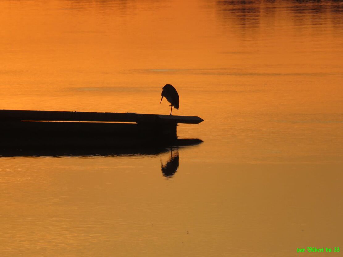 un coucher de soleil !