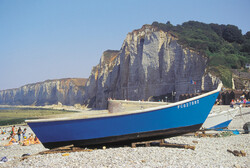                          cote d'albatre     veules   les   roses