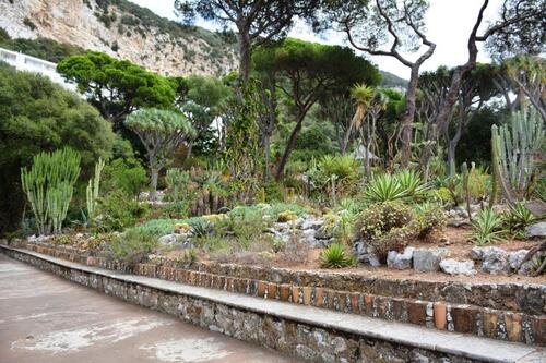 Balade dans les Jardins Botaniques d'Alameda à Gibraltar