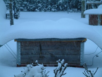 maison des cochons d'inde sous la neige - Allex