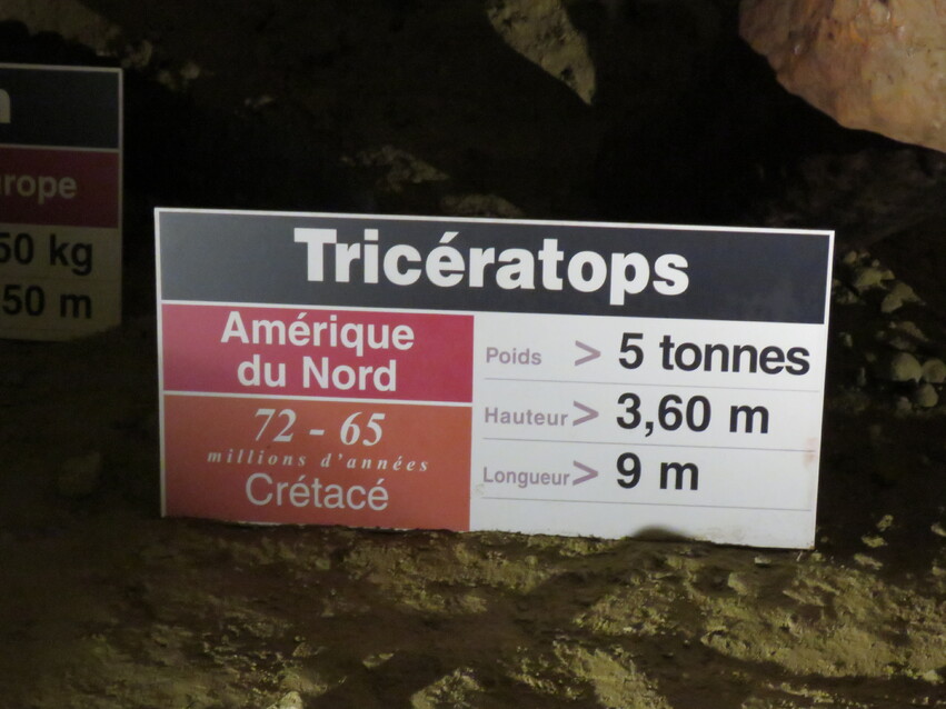 Grottes Pétrifiantes de Savonnières (37)