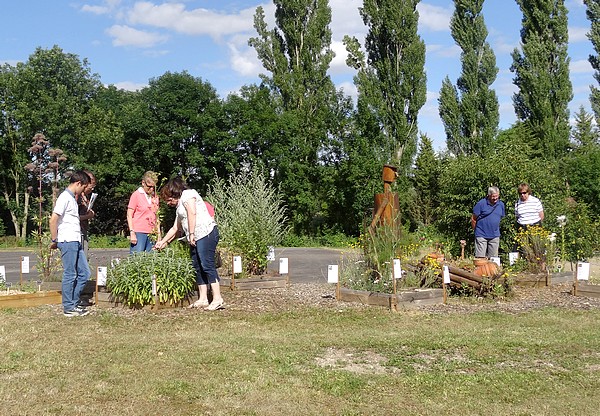 Chaumont le Bois s'est doté d'un "jardin des simples" !