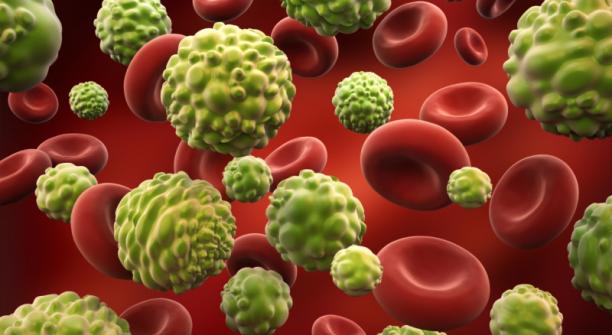 Les aliments pro et anti cancer dans - SANTE QhbgQ0FAdDkEu88ffwyB0nrKAIo
