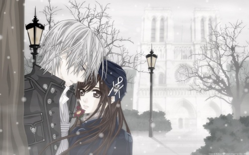 Vampire Knight gallerie