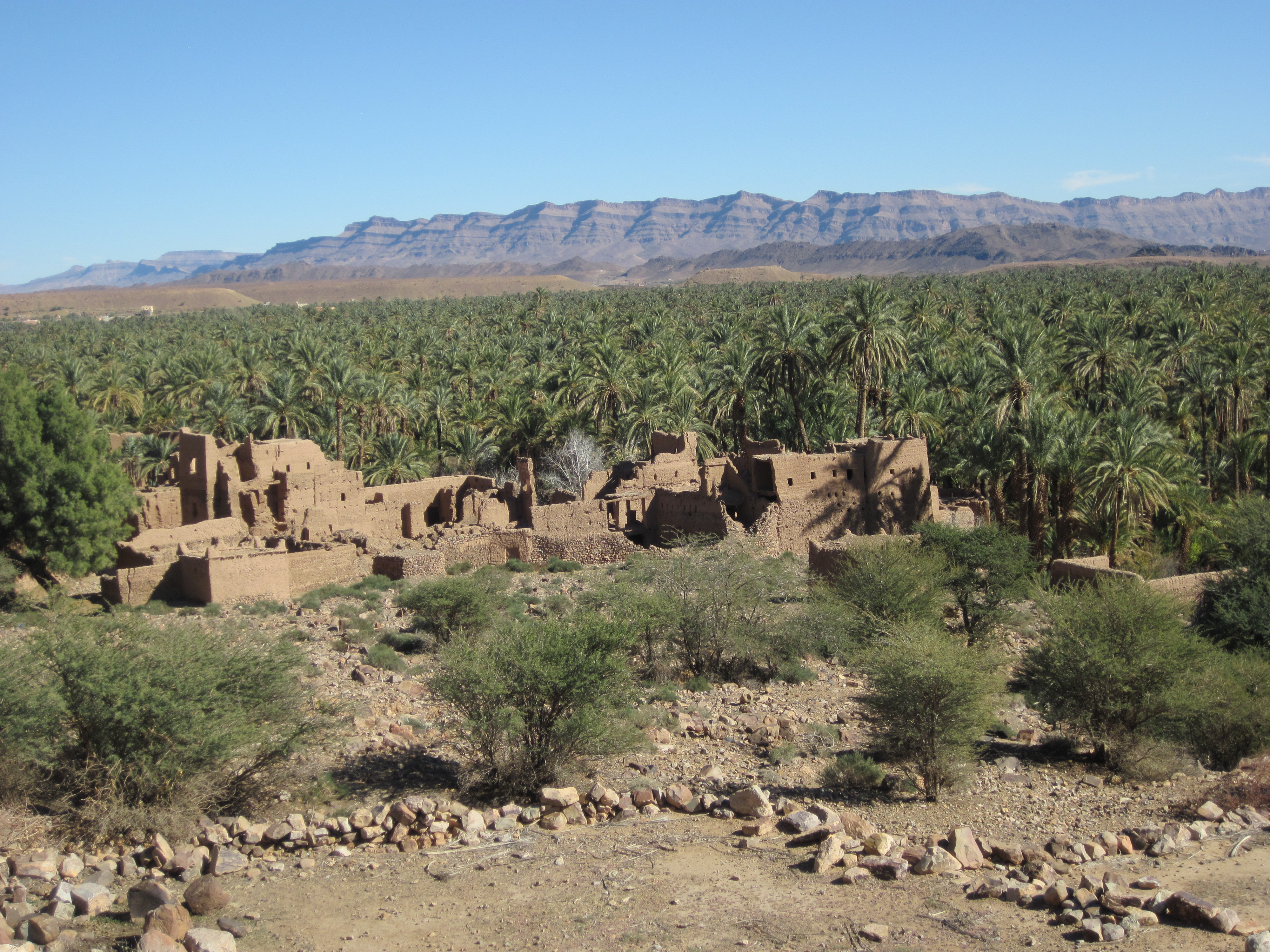 Maroc Le long de l palmeraie avant Zagora