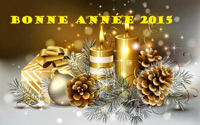 2015 bonne année dans mes activités QiwfZPYtl9gHRWwTNP7FvOXqGyk@701x438