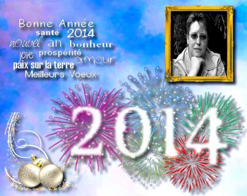 bonne année 2014