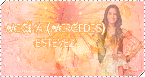 Mecha Estevez Mecha Estevez