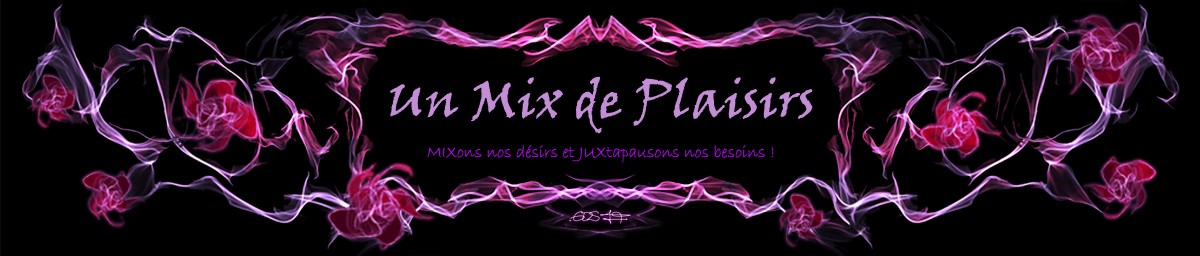 Forum Mix de Plaisir