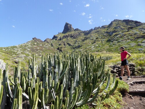 Tenerife- Parc de l'Anaga