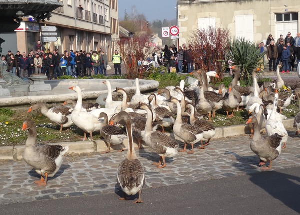 Le Tape-Chaudrons 2016 à Châtillon sur Seine