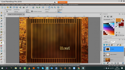 Ein gut bewohnter Wald