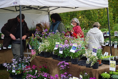 Fête des plantes et art du jardin à Jossigny