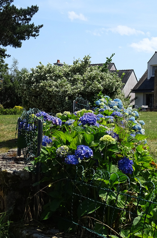 Entre terre et mer des fleurs