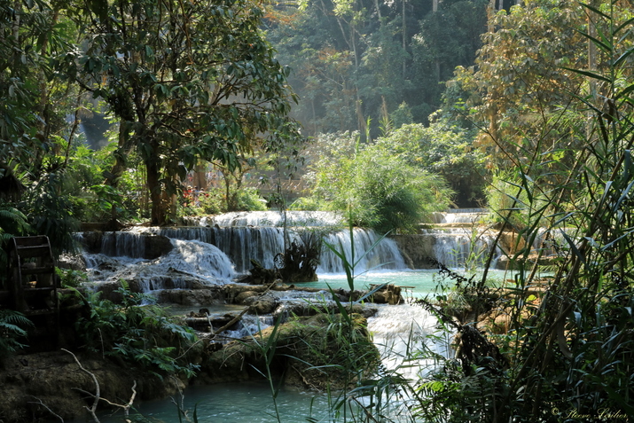 Les cascades de Kuang Si, Laos