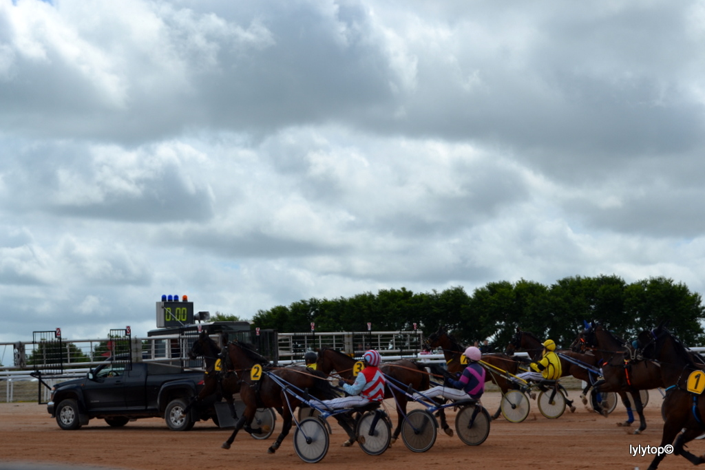 Une journée à l'hippodrome ...