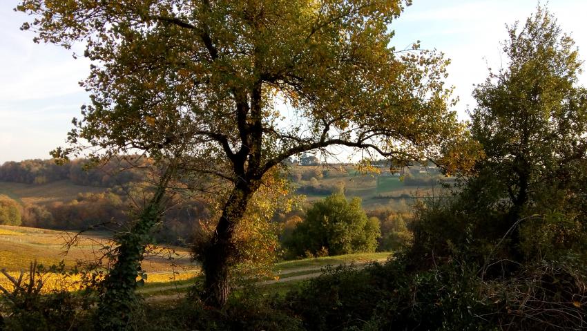 Momprimblanc (petite commune de Gironde)