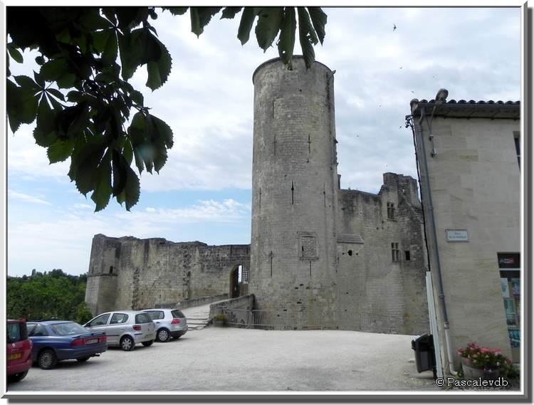 Le château de Rauzan