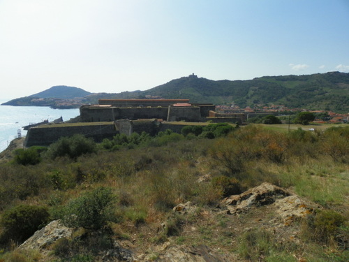 Collioure ( 1 )