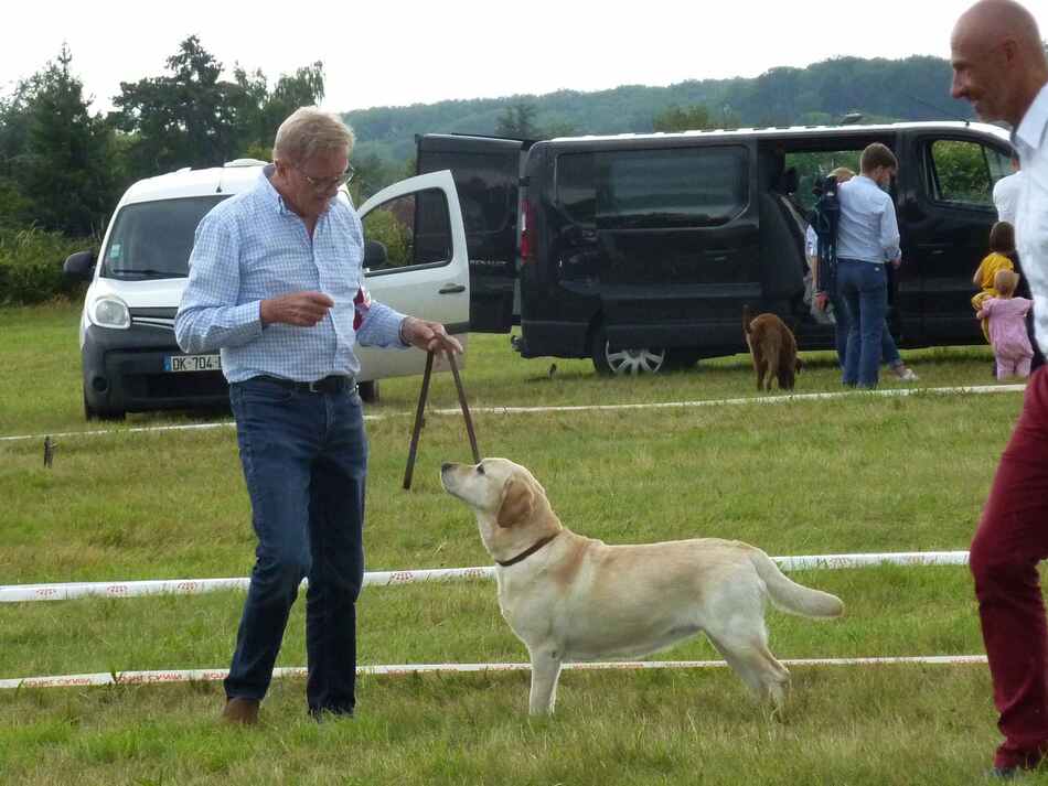 Régionale des Retrievers dans le Cher.