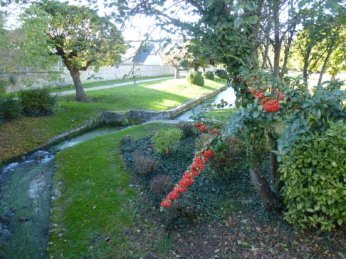 COULEURS D'AUTOMNE A BEAUGENCY