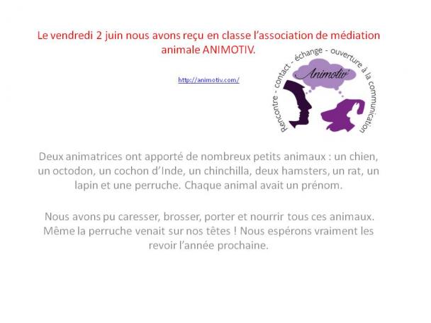 Séance de médiation animale juin 2017