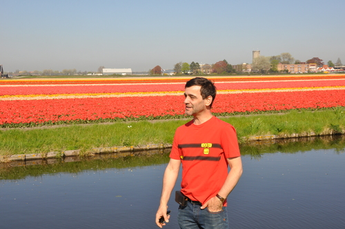 #amsterdam #tulips 