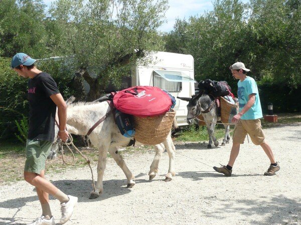Casimir et Miguel, les ânes qui font étape au camping