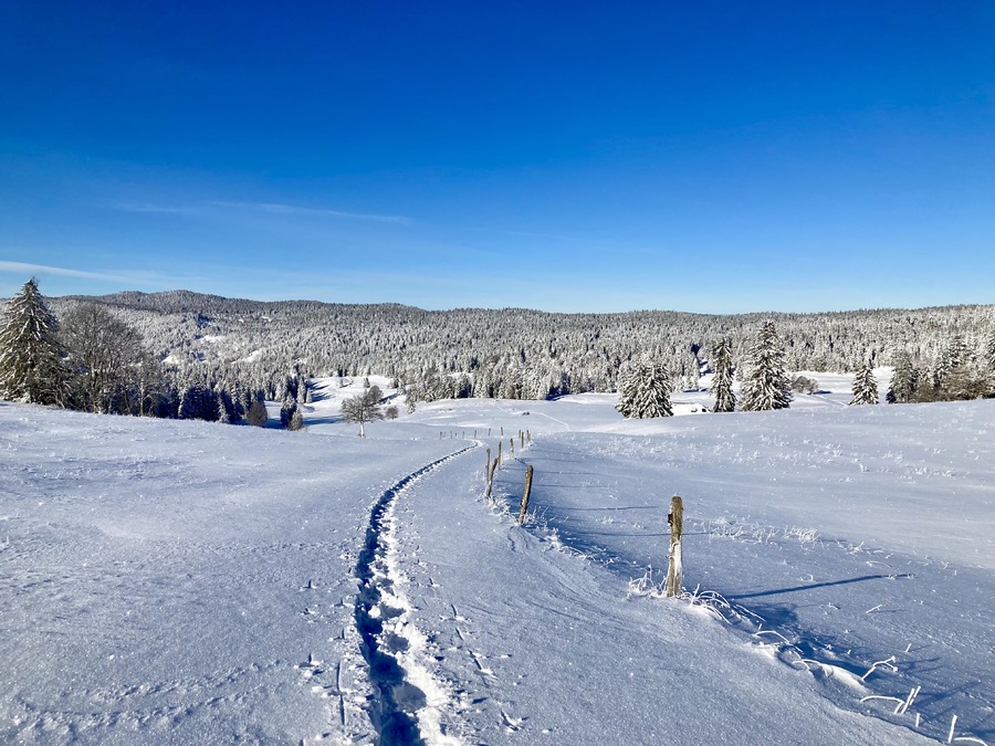 Première sortie raquettes/ski, 3