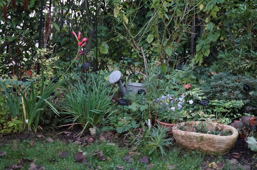 Un coin du jardin, un an est passé