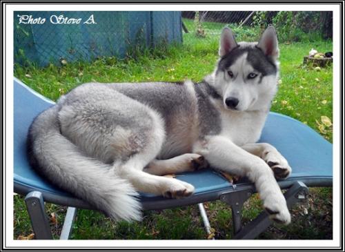 Ilouky (11 mois)