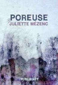 ais sur le roman Poreuse  de Juliette Mézenc 