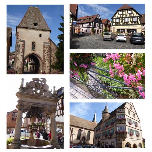 Escapade en Alsace 6 - La route des Vins (2)