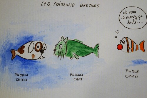 Collection de poissons bretons