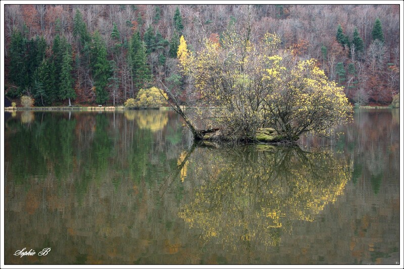 Automne au lac Chambon .