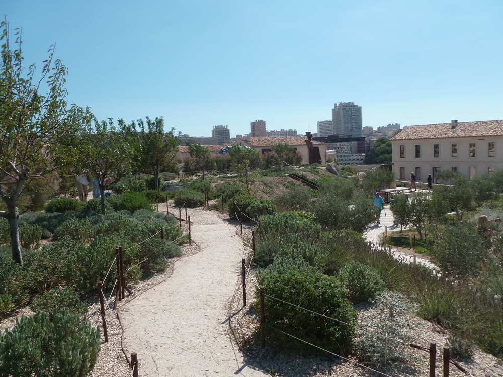 MARSEILLE JARDIN DU FORT SAINT JEAN