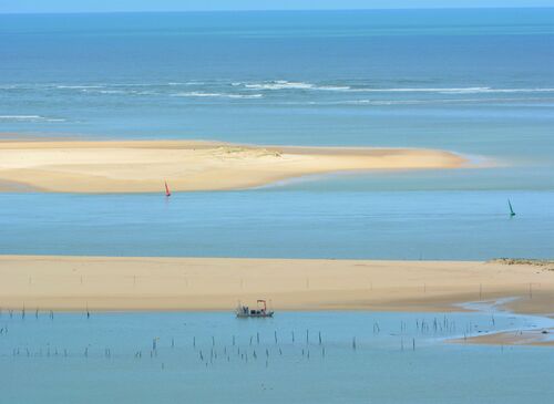 Circuit pédestre de la Dune du Pilat 