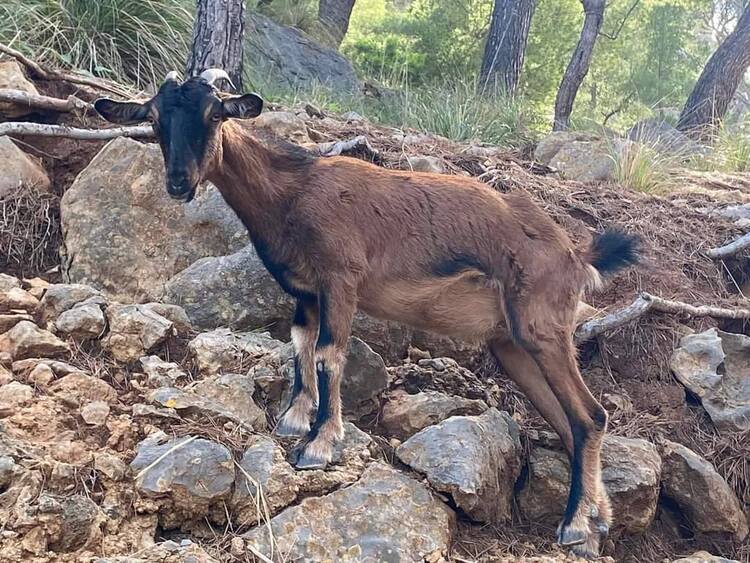 bon debut de semaine à tous - trucs insolite .... 