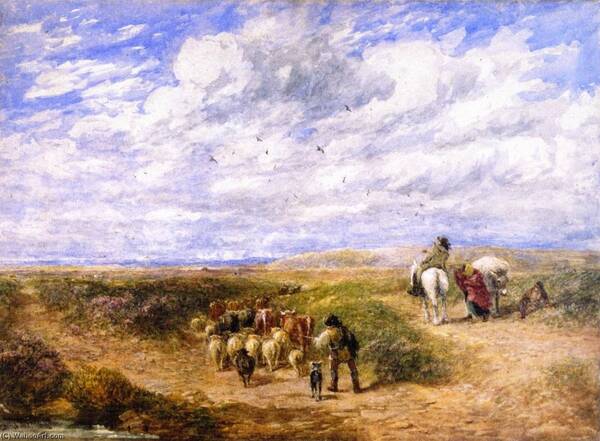 Peintures de : David Cox