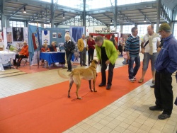 Forum des Associations